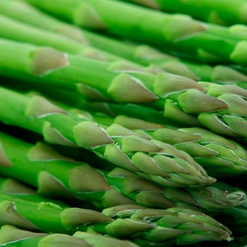 aspargos.jpg