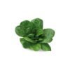 Espinafre Folha IQF Navarra - 2,5kg