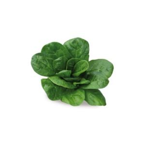 Espinafre Folha IQF Navarra - 2,5kg