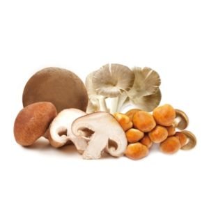 Mix de Cogumelos Congelado IQF Navarra - 1kg